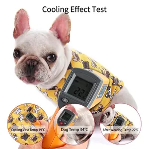 Breathable dog cooling vest with temperature test demonstration for French Bulldogs