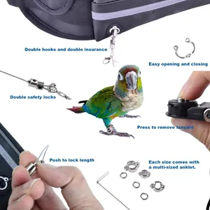 Adjustable parrot leash with multi-sized metal anklets for bird training