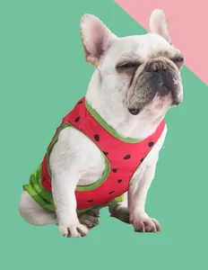 Detalle de un bulldog francés con un chaleco refrescante con estampado de sandía para el verano