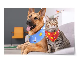 Dettaglio di un cane e un gatto che indossano bandane refrigeranti rosse e blu per animali.
