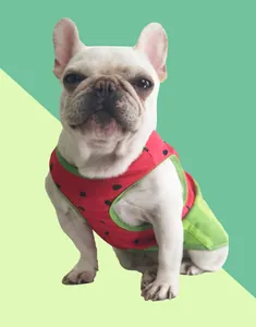 Vista detallada del chaleco refrigerante para Bulldog Francés con diseño de sandía de verano