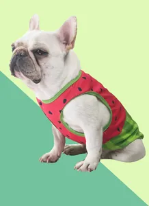 Primer plano de un Bulldog Francés con un chaleco refrescante con estampado de sandía