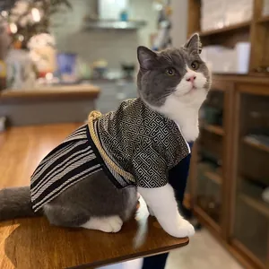 Cute British Shorthair cat wearing a traditional Japanese samurai kimono pet costume