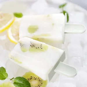 Hoogwaardige creatieve ijsvormpjes voor zelfgemaakte fruitijsjes en DIY waterijsjes