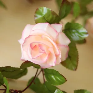 Nahaufnahme einer realistischen rosa Kunstrose aus Seide mit grünen Blättern an einer Ranke