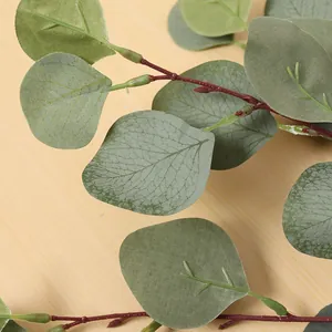 Makroaufnahme der realistischen Adern grau-grüner Seiden-Eukalyptus-Apfelblätter.