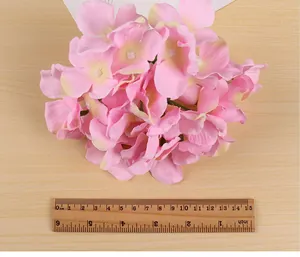 Nahaufnahme rosa Samthortensienblüten mit Holzlineal zur Größenbestimmung