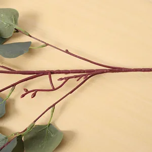 Detailansicht eines künstlichen Eukalyptus-Apfelblattzweigs für die Wohndekoration