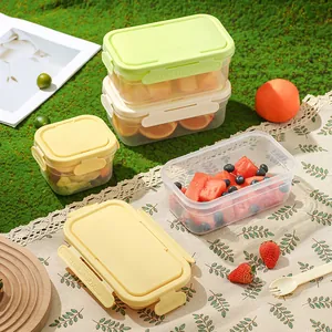 Double Layer Portable Fresh Keeping Box With Ice Pack Leak Proof Lunch Box For Picnic Outdoor Fruit Food Storage PP Container