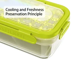 Portable double-layer lunch box with built-in ice pack lid for outdoor food freshness