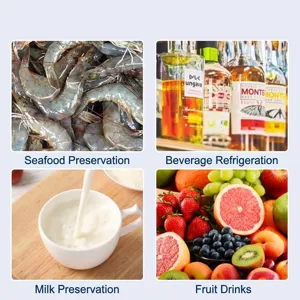 Reusable instant cold ice pack for fresh food preservation and sports cooling applications