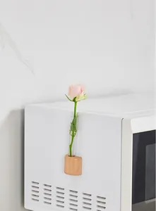 Gedetailleerde opname van een magnetische houten reageerbuisvaas op een witte magnetron