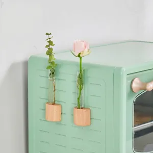 Moderne magnetische houten reageerbuisvaas voor hydrocultuur op een magnetron