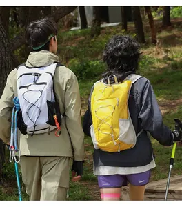 Rückansicht von Wanderern mit leichten Outdoor-Wanderrucksäcken im Waldgelände