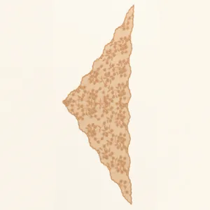 Primo piano di sciarpa triangolare in pizzo beige in stile francese vintage ricamata