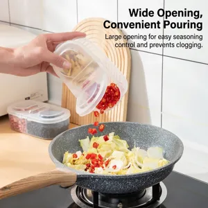Transparent dual-compartment spice storage box for kitchen seasoning and dried ingredients