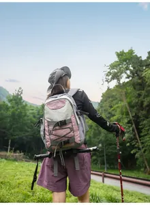 Rückansicht einer Person mit pink-grauem Wanderrucksack in Berglandschaft