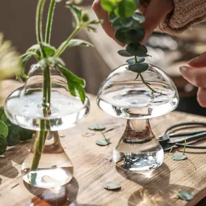 Detailweergave van het plaatsen van eucalyptus in een glazen paddenstoelvaze