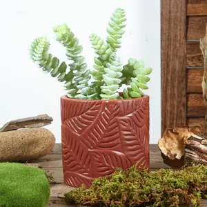 Nordischer Harz-Blumentopf mit geprägtem Blatt-Design perfekt für Zimmer-Sukkulenten.