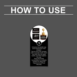Gedetailleerde instructiegrafiek voor autoluchtverfrissergebruik met installatiestappen.