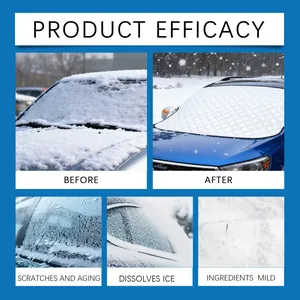 Vue detaillee de la protection de pare-brise de voiture montrant leffet anti-neige.