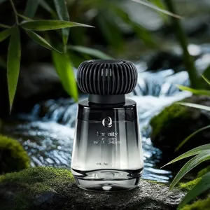 Elegant 150ml glass car air freshener bottle placed in a serene natural creek setting