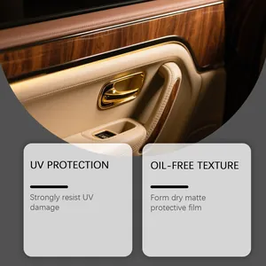 Vista detallada del panel de puerta de coche con textura mate limpia y protección UV.