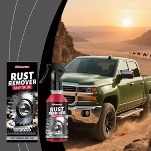 Professional 100ml rust remover spray for metal car parts maintenance and desert off-road care