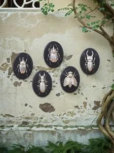 Set di cinque rilievi di scarabeo 3D in argento vintage esposti su un muro da giardino