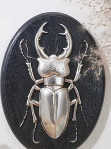 Dettaglio ravvicinato di un rilievo di scarabeo argentato su placca ovale nera.