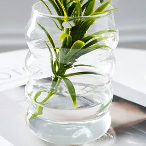 Raupe Glasvase nordisch minimalistisch hydroponische Blumenarrangements Heimdekoration