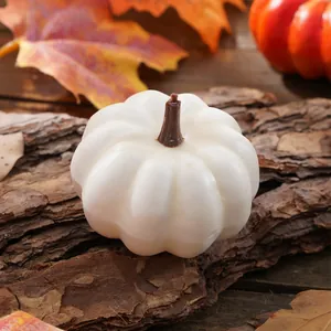 Primo piano di una mini zucca bianca decorativa in schiuma su corteccia rustica