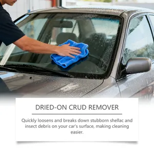 Détail du dissolvant d'insectes de voiture montrant le nettoyage et l'entretien.