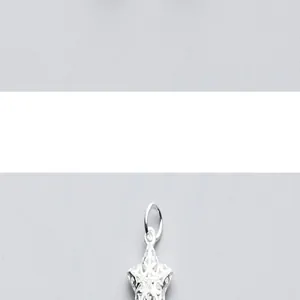 Macrodetail van een holle stervormige hanger van S925 zilver voor sieraden.