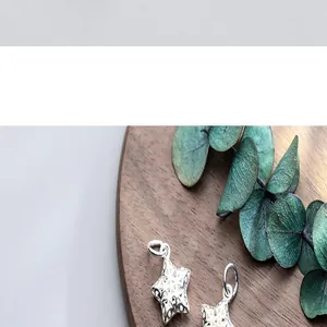 Gedetailleerde weergave van holle S925 sterling zilveren sterbedels voor doe-het-zelf sieraden