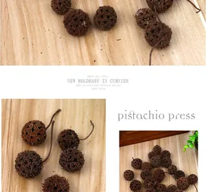 Macro view of natural dried seed pods for ZAKKA style DIY crafts and Christmas decor