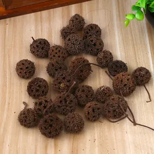 Natural Dried Liquidambar Fruit For ZAKKA DIY Craft Christmas Tree Decorations Vintage Photography Props Brown Maple Fruit Ornament