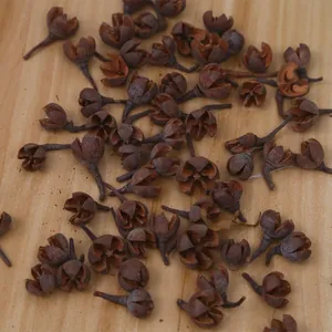 Detailed macro view of dried brown star-shaped pine cone pods on a wooden surface