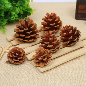 Natural brown pine cones for Christmas decor and DIY crafts on a wooden background