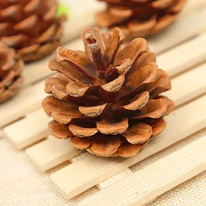 Hand-selected natural oil pinecones for Christmas decorations and photography props