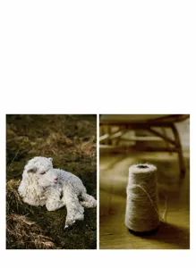Close-up of premium lamb wool yarn with a young lamb resting on a grassy meadow.