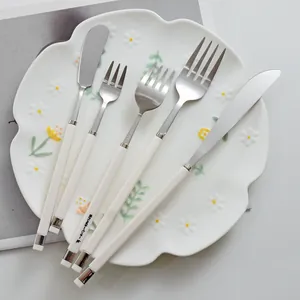 Nordic style 304 stainless steel cutlery set with elegant white handles on a floral plate