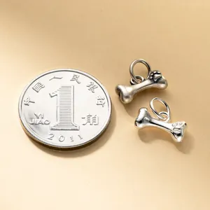 Macro-detail van S925 sterling zilveren bot-bedels voor maatvergelijking met een muntstuk