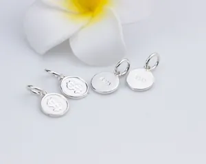 Gedetailleerd overzicht van S925 sterling zilveren dollarteken bedeltjes voor DIY sieraden