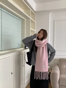 Soft pink wool blend scarf with tassels worn by a model in a cozy indoor setting