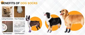 Avantages des chaussettes antidérapantes pour chiens: protection des sols et des pattes