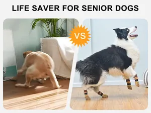 Comparaison de chaussettes antidérapantes pour chiens âgés montrant la stabilité au sol