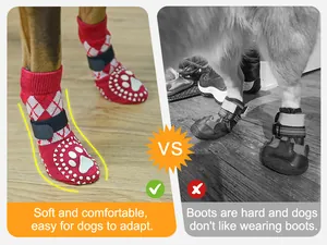 Comparaison côte à côte de chaussettes antidérapantes pour chiens et de bottes rigides dures