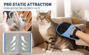 Guanto antistatico per la rimozione dei peli di animali domestici su un divano