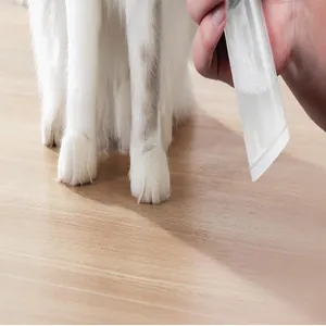 Close-up detail of white waterless cleaning mousse foam being applied to a cat's paws